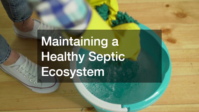 Maintaining a Healthy Septic Ecosystem