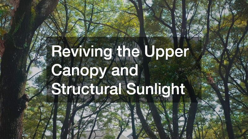 Reviving the Upper Canopy and Structural Sunlight