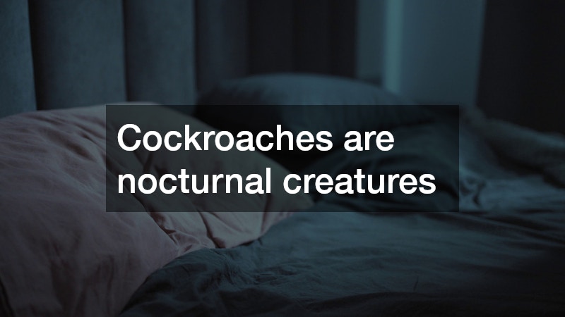 Cockroaches are nocturnal creatures