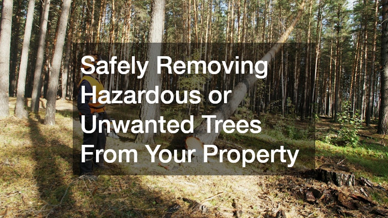 Safely Removing Hazardous or Unwanted Trees From Your Property