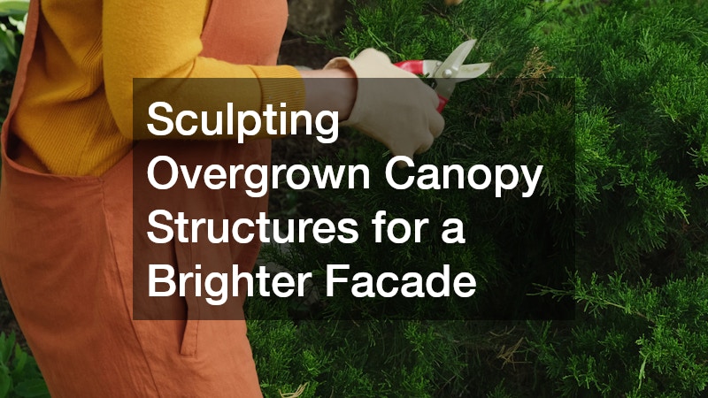 Sculpting Overgrown Canopy Structures for a Brighter Facade