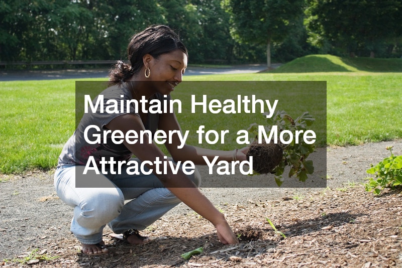 Maintain Healthy Greenery for a More Attractive Yard