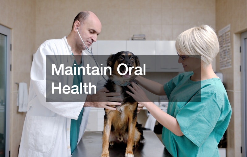Maintain Oral Health