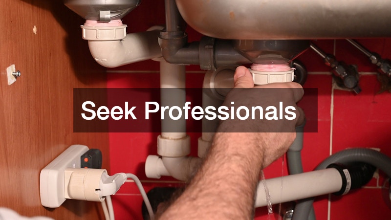 Seek Professionals