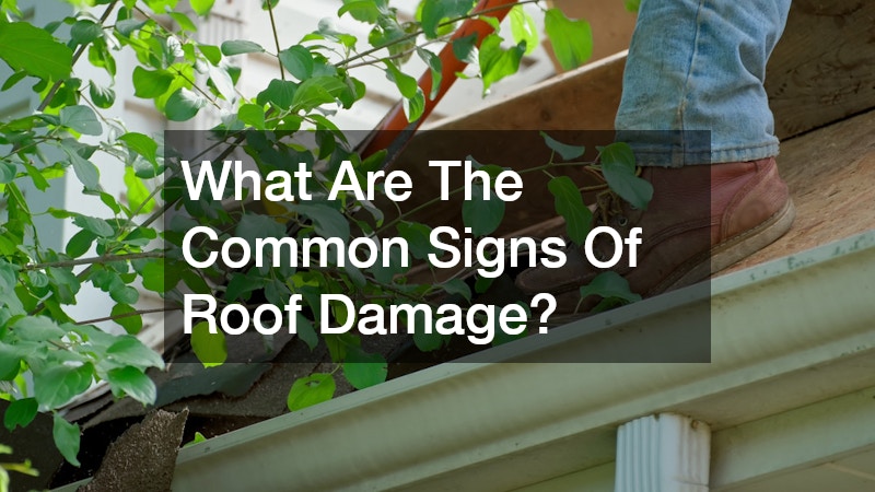 What Are The Common Signs Of Roof Damage?