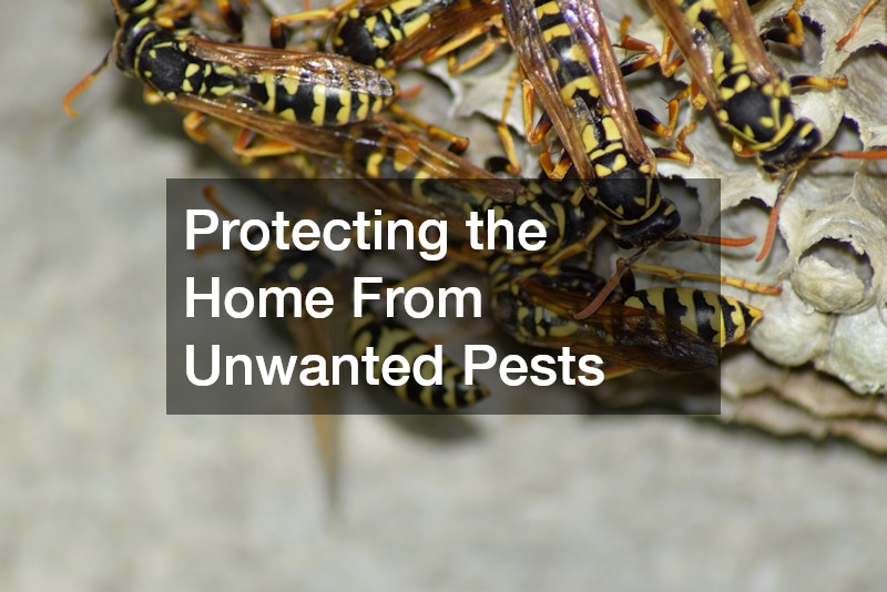 Protecting the Home From Unwanted Pests