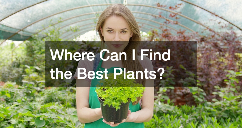 Where Can I Find the Best Plants?