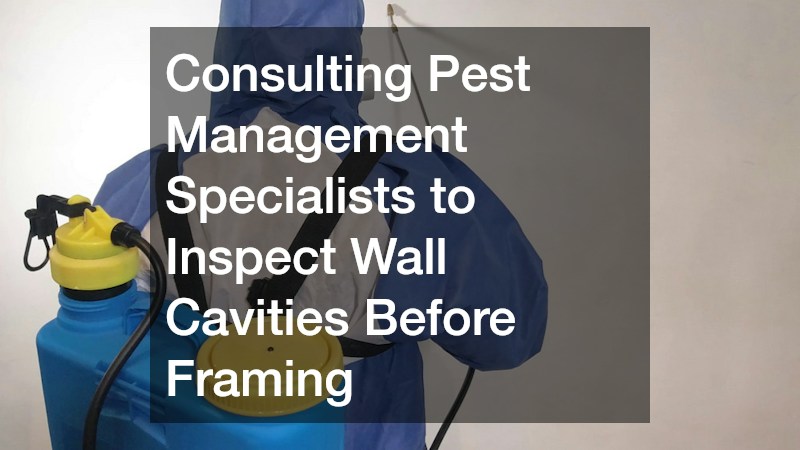 Consulting Pest Management Specialists to Inspect Wall Cavities Before Framing