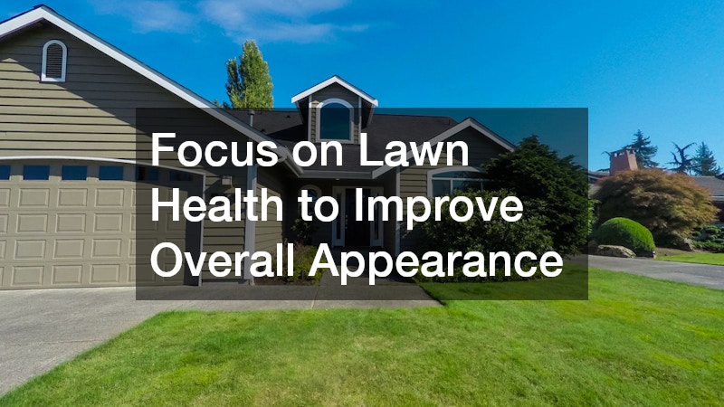 Focus on Lawn Health to Improve Overall Appearance