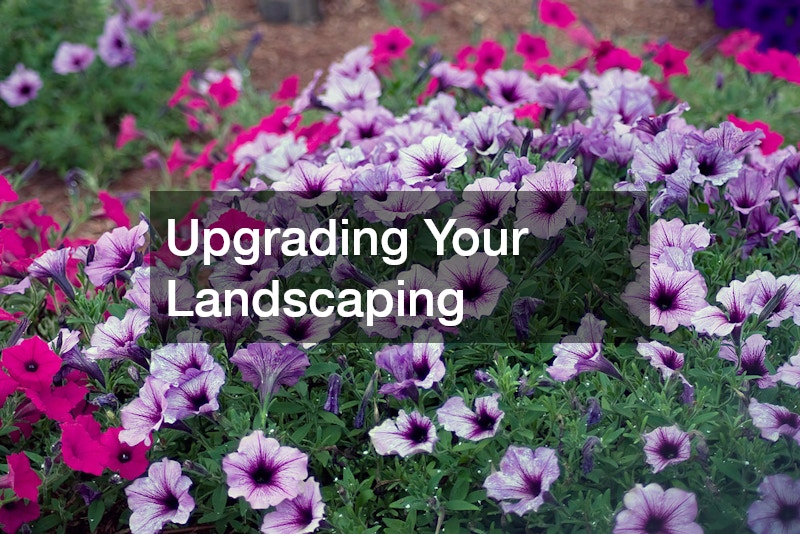 Upgrading Your Landscaping