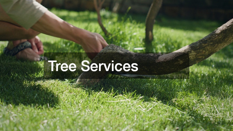 Tree Services