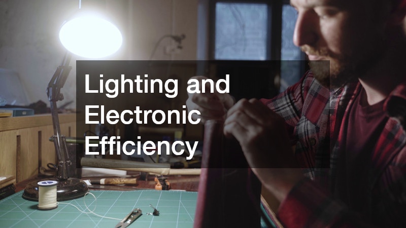 Lighting and Electronic Efficiency