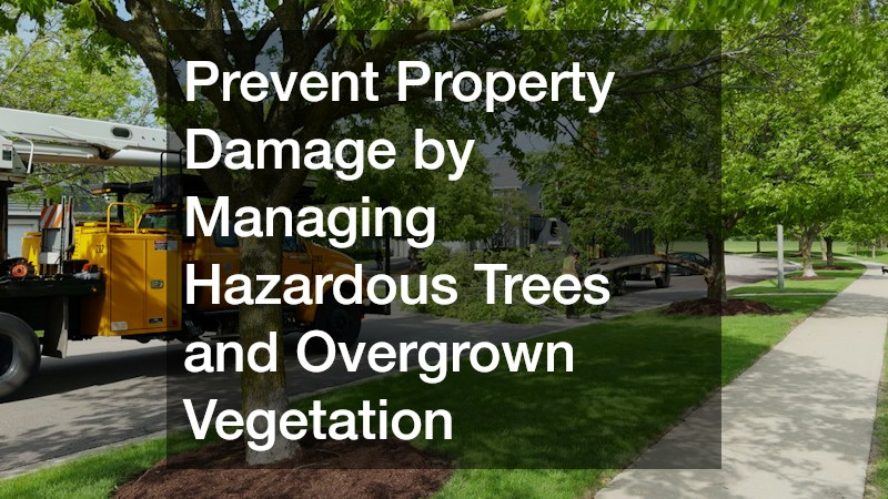 Prevent Property Damage by Managing Hazardous Trees and Overgrown Vegetation