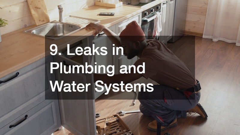 9. Leaks in Plumbing and Water Systems