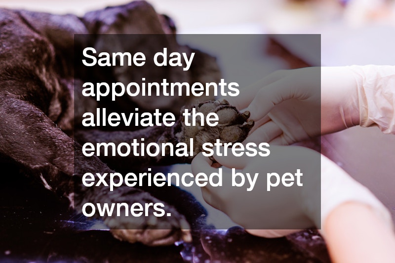 Same day appointments alleviate the emotional stress experienced by pet owners.