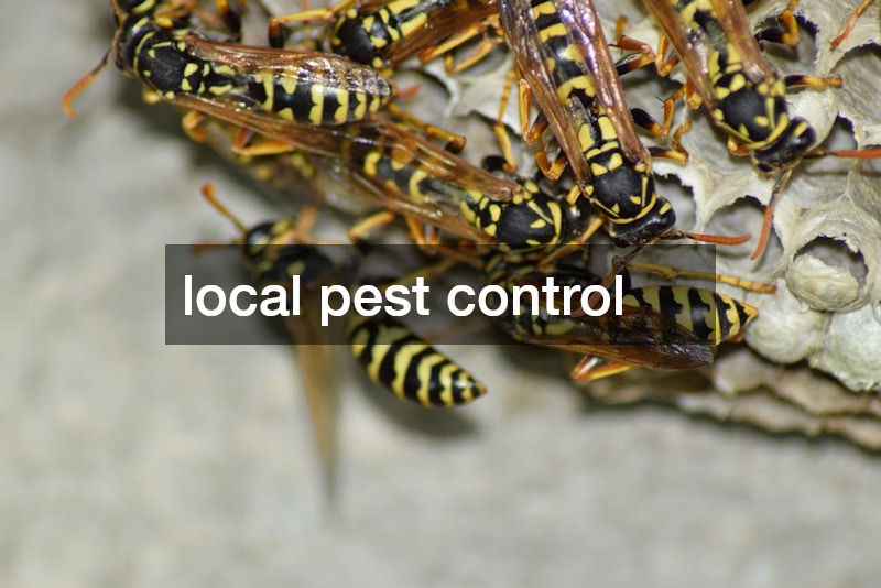 local pest control