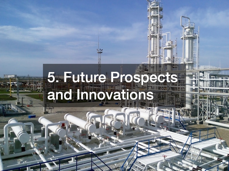 5. Future Prospects and Innovations