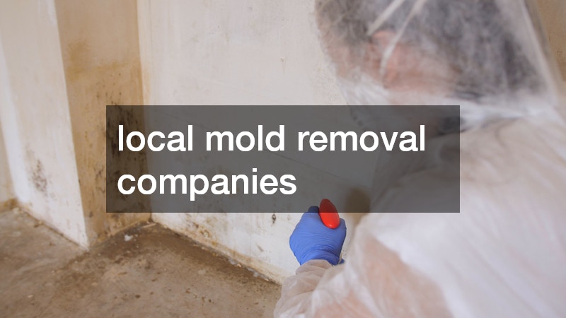 local mold removal companies