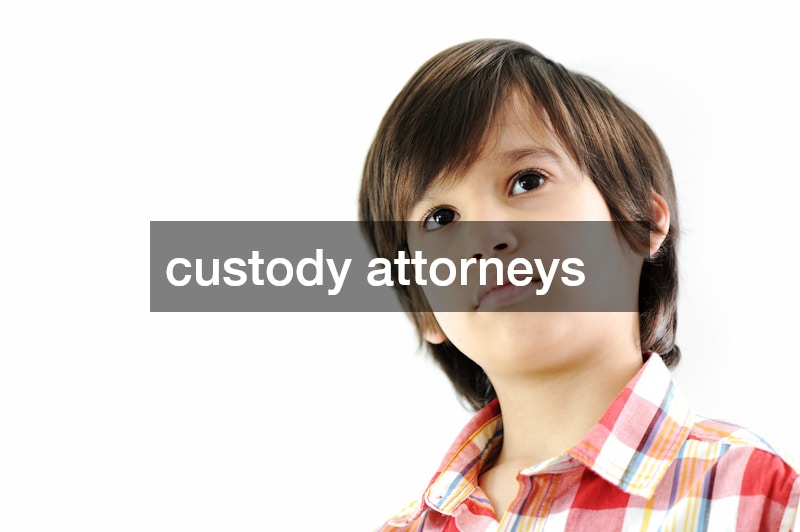 custody attorneys