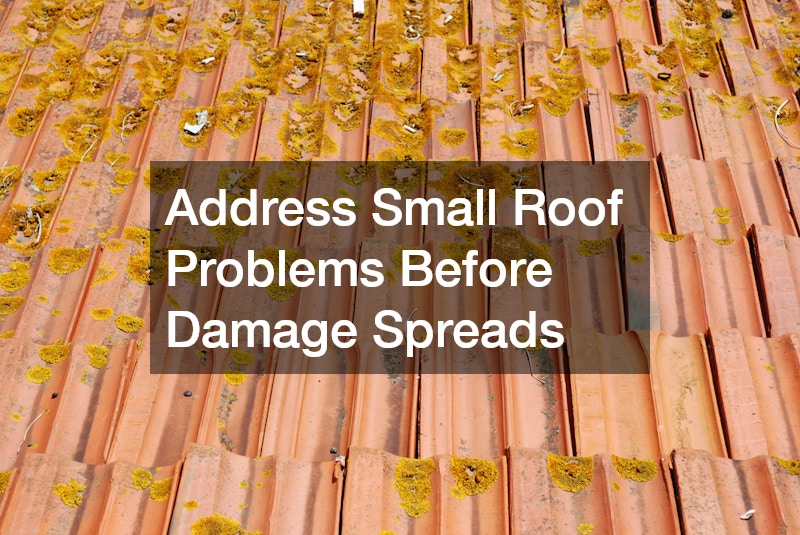 Address Small Roof Problems Before Damage Spreads