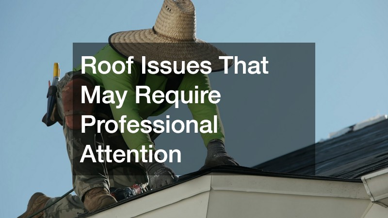 Roof Issues That May Require Professional Attention