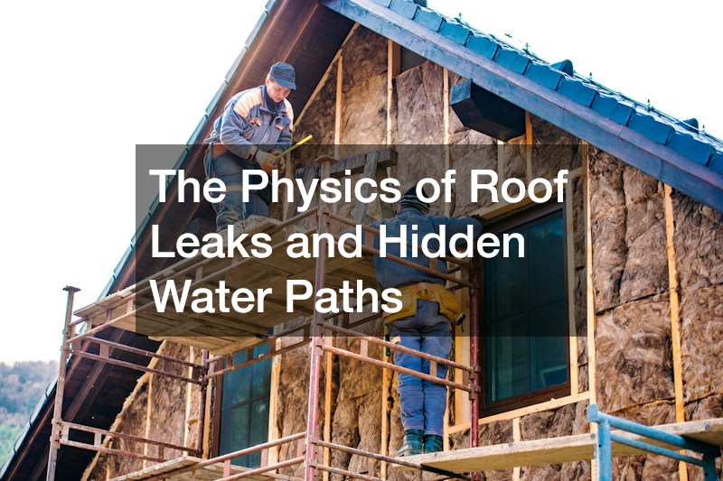 The Physics of Roof Leaks and Hidden Water Paths