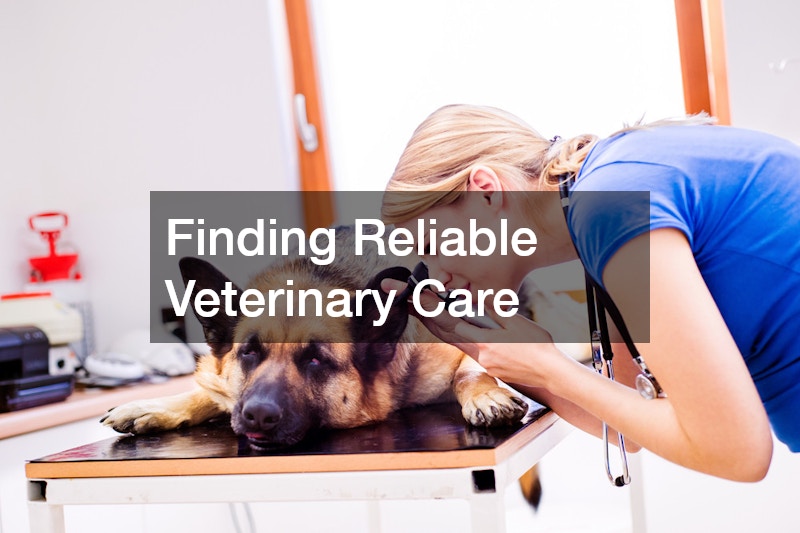 Finding Reliable Veterinary Care