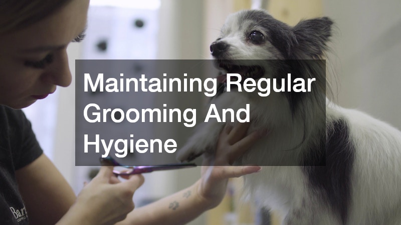 Maintaining Regular Grooming And Hygiene
