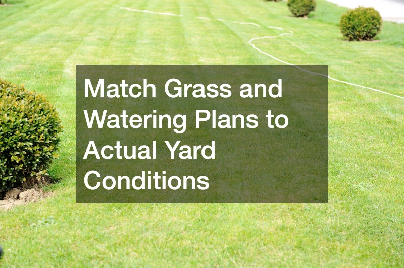 Match Grass and Watering Plans to Actual Yard Conditions