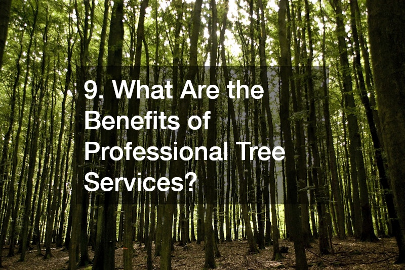 9. What Are the Benefits of Professional Tree Services?