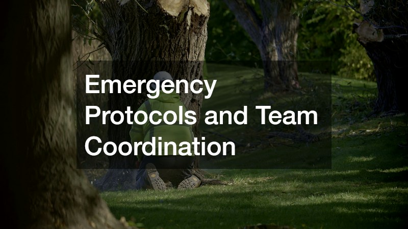 Emergency Protocols and Team Coordination
