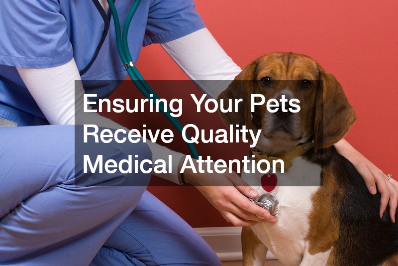 Ensuring Your Pets Receive Quality Medical Attention