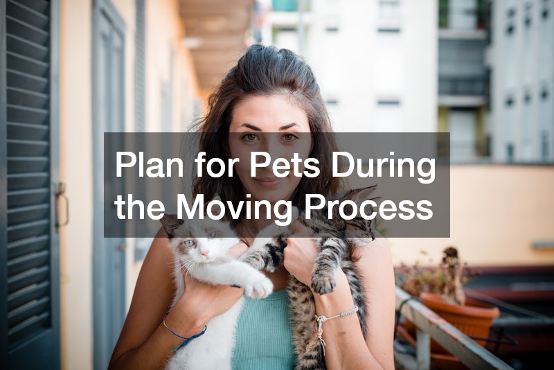 Plan for Pets During the Moving Process