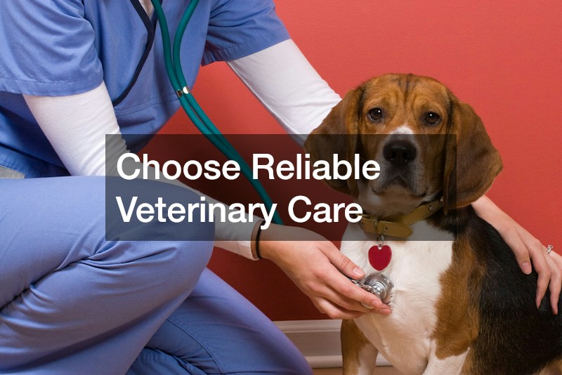 Choose Reliable Veterinary Care