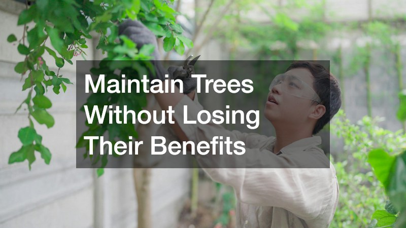 Maintain Trees Without Losing Their Benefits