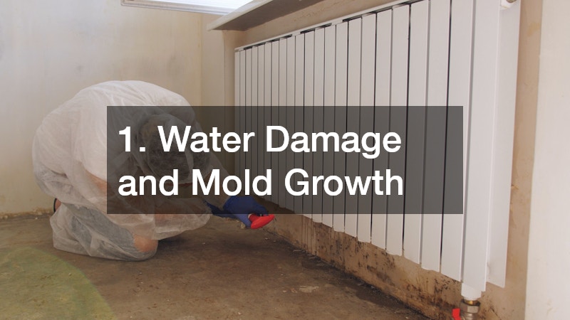 1. Water Damage and Mold Growth