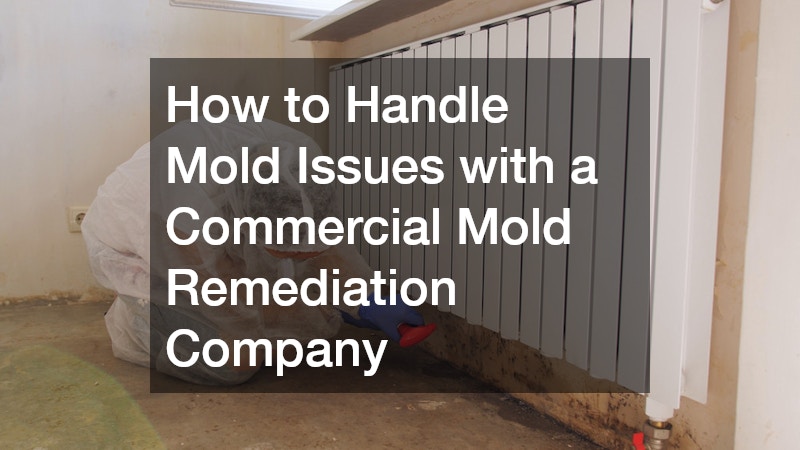 How to Handle Mold Issues with a Commercial Mold Remediation Company