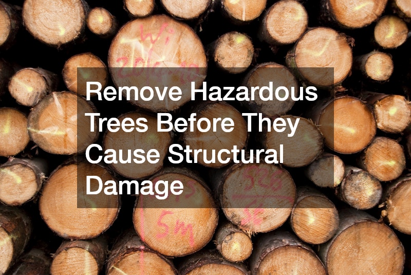 Remove Hazardous Trees Before They Cause Structural Damage