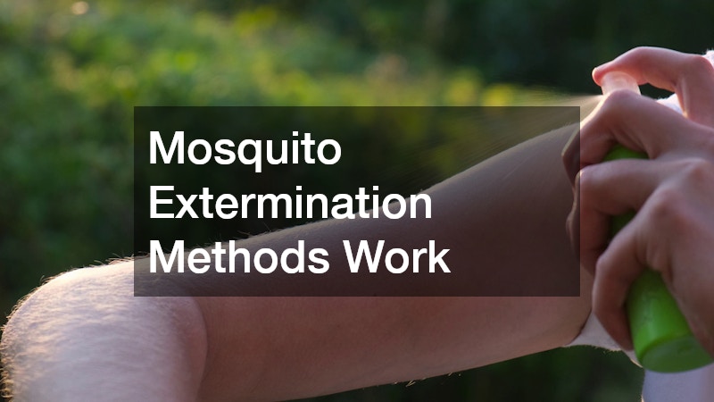 Mosquito Extermination Methods Work