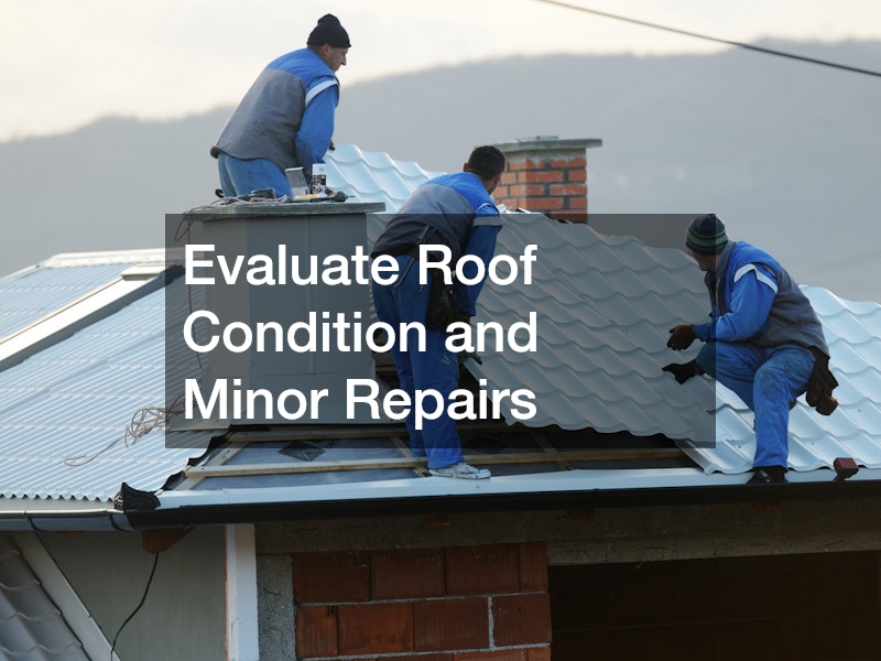 Evaluate Roof Condition and Minor Repairs