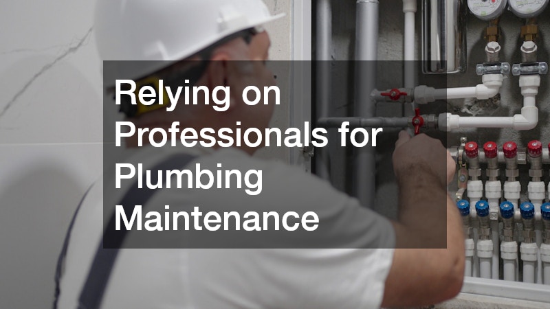 Relying on Professionals for Plumbing Maintenance
