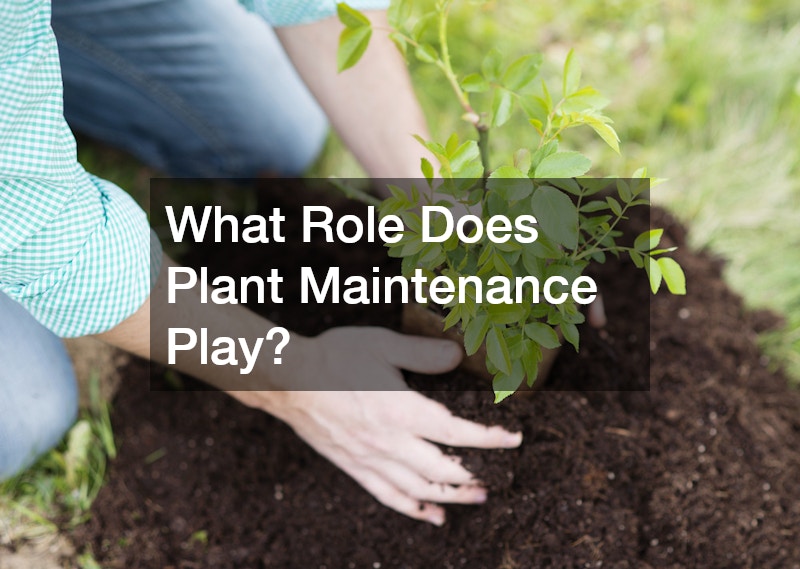 What Role Does Plant Maintenance Play?