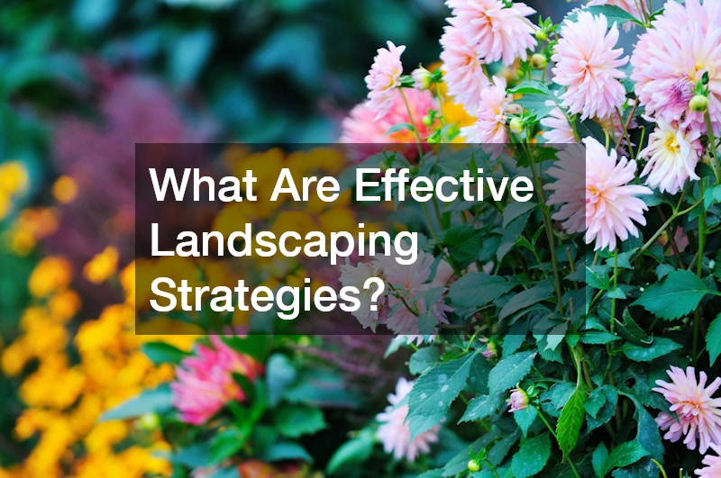 What Are Effective Landscaping Strategies?