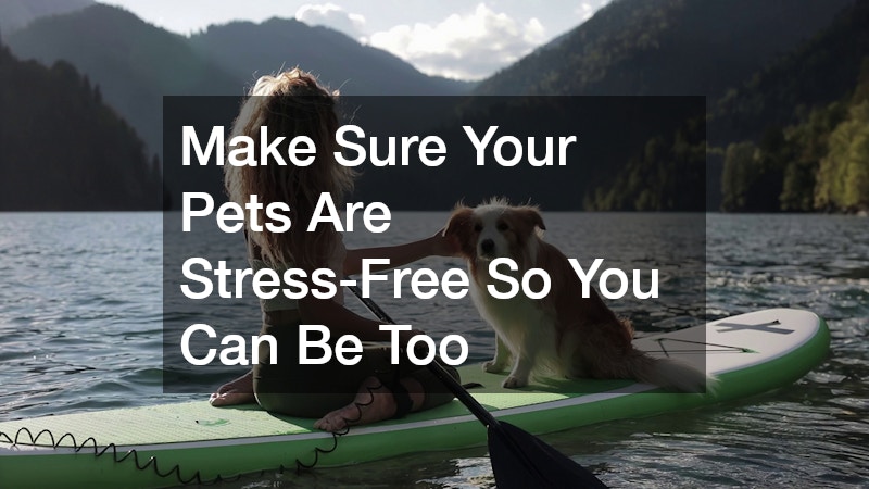Make Sure Your Pets Are Stress-Free So You Can Be Too