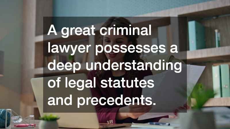 A great criminal lawyer possesses a deep understanding of legal statutes and precedents.
