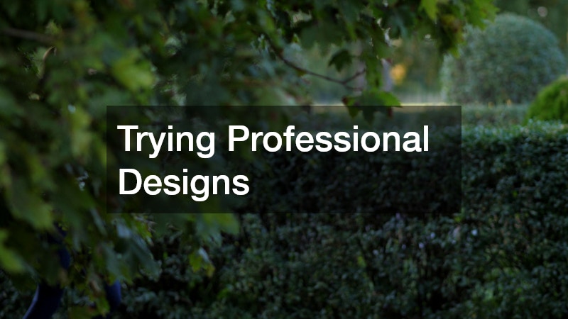 Trying Professional Designs