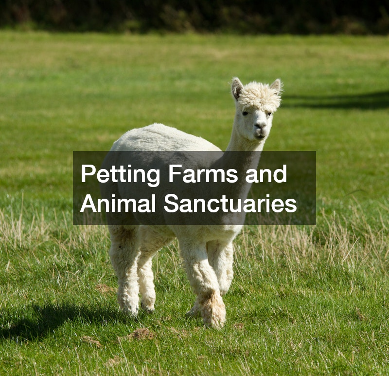Petting Farms and Animal Sanctuaries