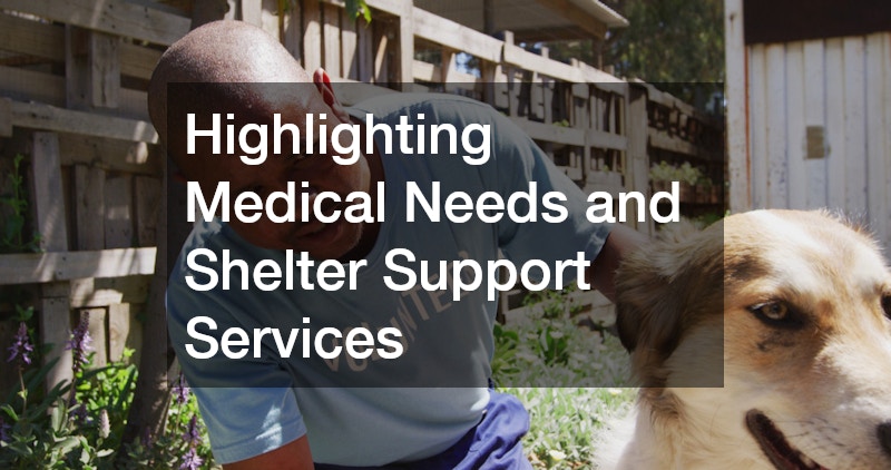 Highlighting Medical Needs and Shelter Support Services