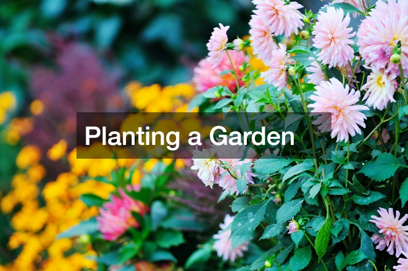 Planting a Garden
