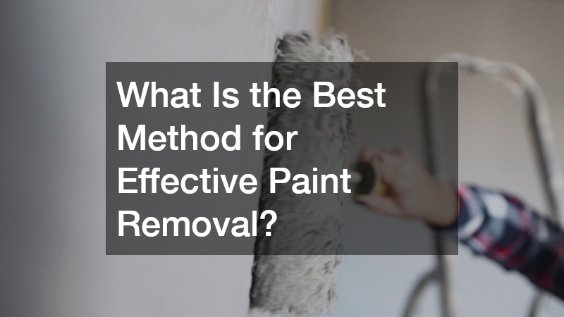 What Is the Best Method for Effective Paint Removal?
